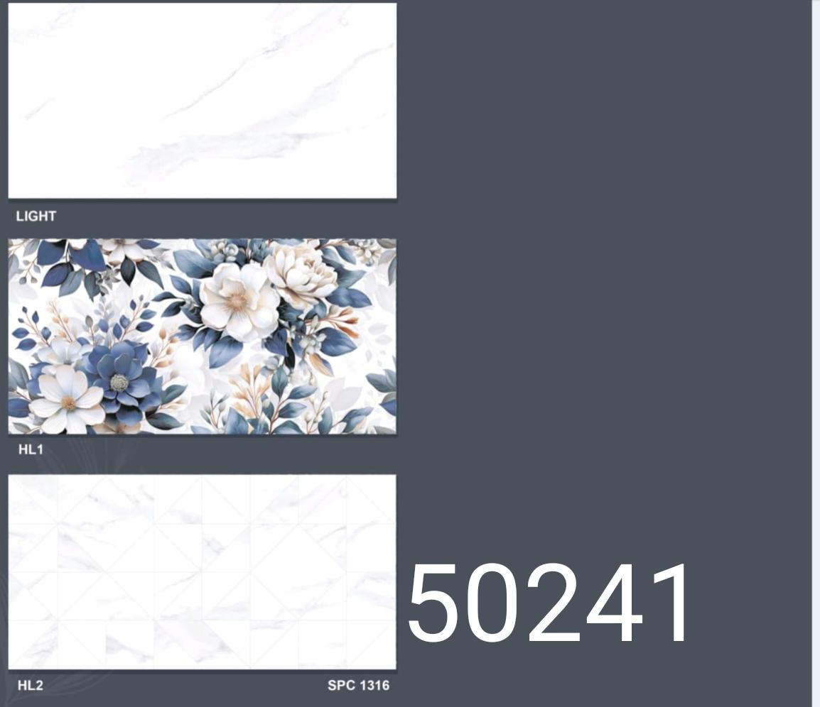 ANUJ 2X1 WALL TILE -50241